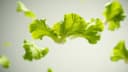 AI HyperMotion Food Image Generator icon