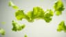 AI HyperMotion Food Image Generator icon