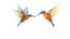 AI Watercolor Birds Generator icon